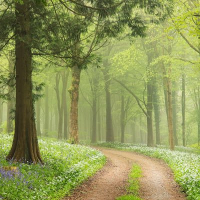 sweet_jam14's profile picture. sports enthusiast who chooses logic, not emotion.