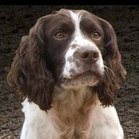 Barry F (@barry_duke8122) 's Twitter Profile