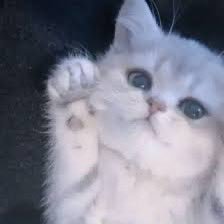 Zpy0cx's profile picture. 