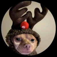 KauanGama (@kauangama9) 's Twitter Profile