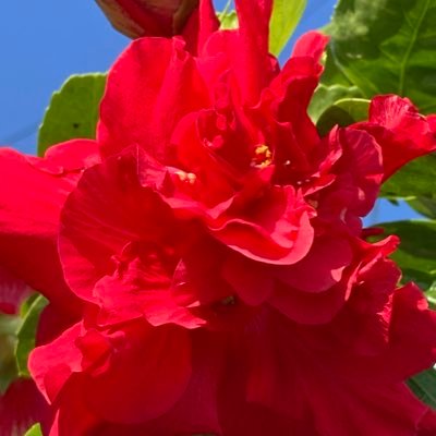 eikomiyakawa's profile picture. Brennan Healer&Therapist