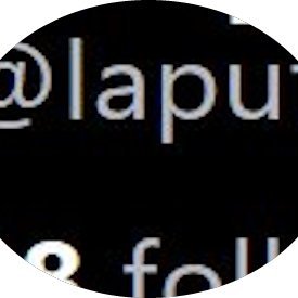 laputanmachine.bsky.socialさんのプロフィール画像