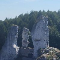 agnieszka (@agnieszka111129) Twitter profile photo