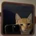 Luis (@_ang_278) Twitter profile photo Luis (@_ang_278) Twitter profile photo
