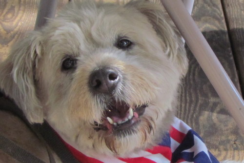 I am the mascot for Promotional Products Center.  We offer a great selection of eco-friendly imprinted products to promote your business, organization or club.