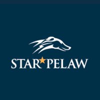 Star Pelaw Greyhounds (@star_pelaw) 's Twitter Profile Photo