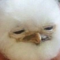 ShelbyStrother9's profile picture. 18+ They/Them/Theirs