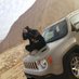 ๐ณ๐H๐ฟdeer๐ณ๐๐ช๐ฌ (@egypt7000my) Twitter profile photo ๐ณ๐H๐ฟdeer๐ณ๐๐ช๐ฌ (@egypt7000my) Twitter profile photo