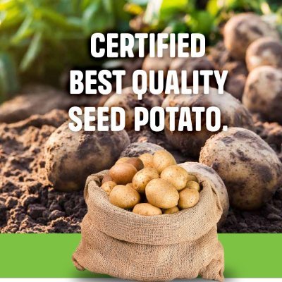 dijoseed's profile picture. Specialists in seed potato production & marketing. Potato value chain catalyst linking farmers to inputs, agric-extension services & markets in Southern Africa.