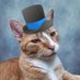 Mr Pumpkin (@roseandmrpumpki) Twitter profile photo Mr Pumpkin (@roseandmrpumpki) Twitter profile photo