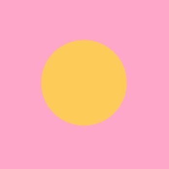 paulodemoustier's profile picture. 