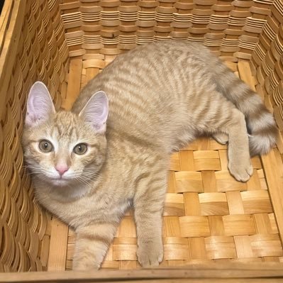brendaruff57's profile picture. Trump For Life