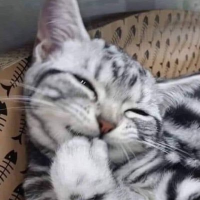 hhuuquyen95's profile picture. follow me. i will follow you