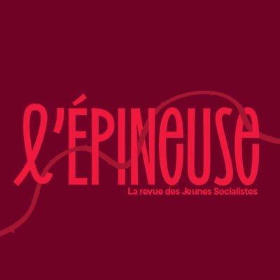 Revue @lesjeunessoc, écrivons ensemble, vivons mieux ✍️🌹 • Rédac-chef : @theophilebrnrd