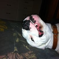 Prayerwatch60's profile picture. Born again Christian. former spiritualist/conjure, and loving wife.  r , Baptist, Worship team musician, Mandolin/guitar/backup vocal