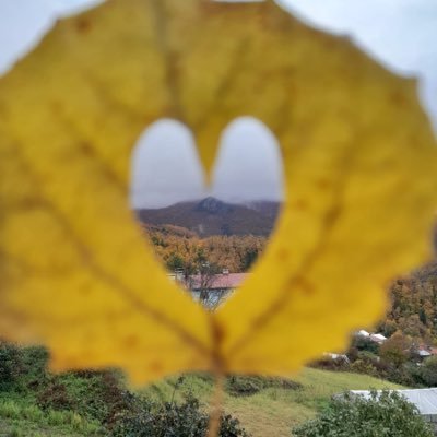 batuyaho's profile picture. 🇹🇷🧭🧭gezgin Kuşlar da mutlu olduğu için uçmuyor zaten…akrep 🦂