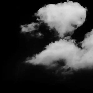 zyxez_'s profile picture. 