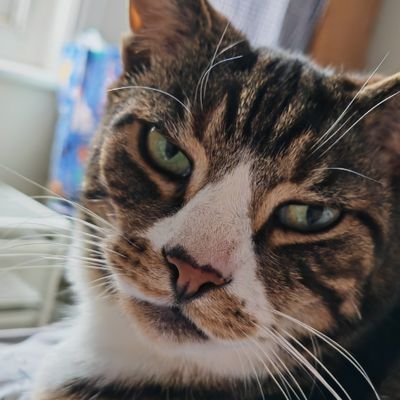 TruthsInSky's profile picture. 