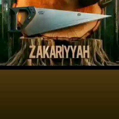 HamzaUmar323048's profile picture. 