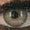 fer per (@sergifranc) Twitter profile photo fer per (@sergifranc) Twitter profile photo