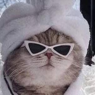 idkyourname113's profile picture. 