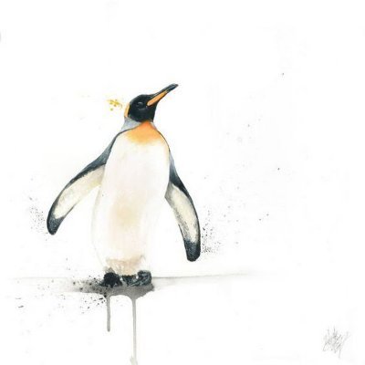 krusoque's profile picture. 