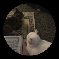 _muslimtweets_ (@_muslimtweets1_) 's Twitter Profile