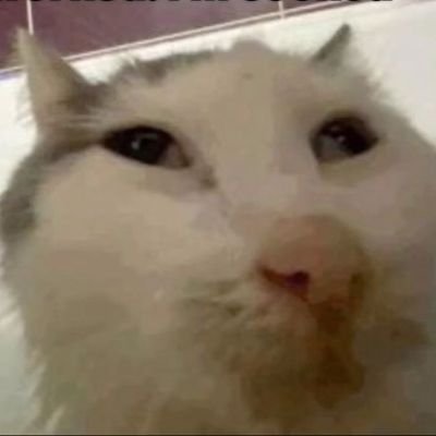 sleepymauve's profile picture. elon fix my feed idc about ur gayass midlife crisis i want to see anime bs