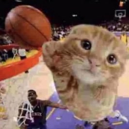 yesyesyesyes777's profile picture. Yes