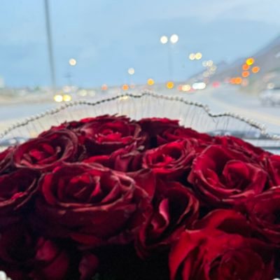 yusra198's profile picture. القلوب المستقيمه .. تعاف المايله