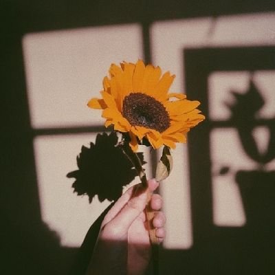 Verchi_Ma's profile picture. flawless in my melanin🖤🦋//
Law graduate