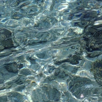 fabiarian's profile picture. Un monólogo cabrón.