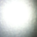 wil - @MarianneWiley - Twitter