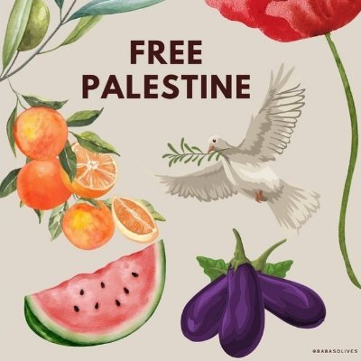 Shashaeen_'s profile picture. A contained mess. 
Muslimah. I stand with 🇵🇸.
و ما توفيقي إلا بالله.

PGY5, General Surgery.