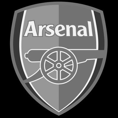 Arsenal, WWE, Chicago Bulls, Bears and Cubs fan