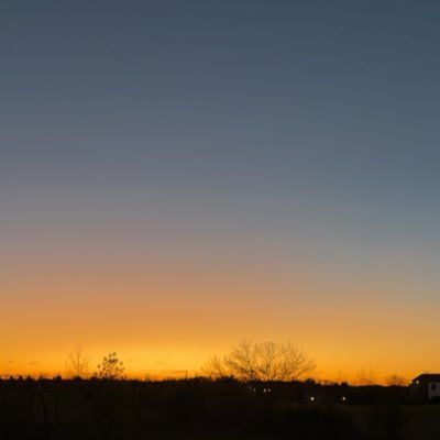 enzomane242's profile picture. 