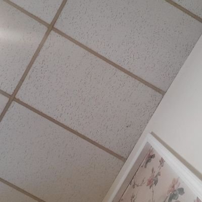 Kaaliya173099's profile picture. 