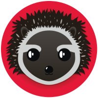 Shrub (@shrub_sol) 's Twitter Profile