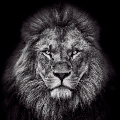 MDH801's profile picture. 