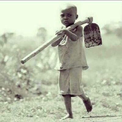 Nkunzemhlophe's profile picture. The truth seeks no followers. It can stand on its own