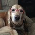 Margi (@rogersmargi) Twitter profile photo Margi (@rogersmargi) Twitter profile photo