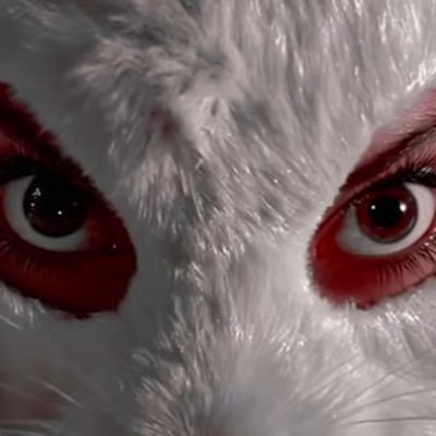 killmetwin's profile picture. 