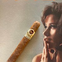 LeafandNectar (@leafandnectar) 's Twitter Profile