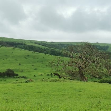 اللهم خذ روحي وأنا ساجد بين يديك وقلبي ينبض بخشيتك وذكرك .. اللهم أحسن خاتمتي ..