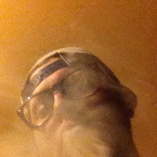 Chaseroboyto's profile picture. you should dance if you want..just never, and i mean never ever ever ever leave your friends behind.