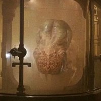 Guild Navigator (@_guildnavigator) 's Twitter Profile