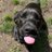 jasonborgida45's profile image