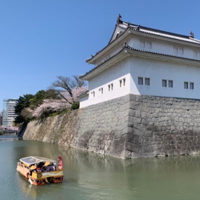 HIKARI_510A's profile picture. 静岡応援団・静岡グルメコミュニティ/「静岡を元気に！」する活動実施中/静岡🗻🍵・鉄道🟠・旅客機🟦が好き/fishbowl🐟🥣(鉢の会No.784・新間いずみ🔴さん推し)・kidsbowl・ふじ亭🍙ファン/藤枝MYFC⚽️🟣を応援中/#1日1枚静岡 #ひかり旅 #HIKARI_510Aの座席紹介