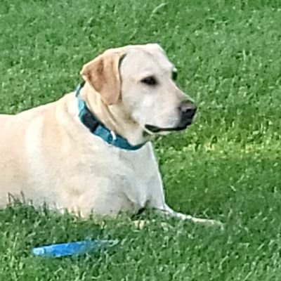 ForeGolf6's profile picture. 