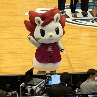 KEI_KAWASAKI88's profile picture. 現&元川崎ブレイブサンダース⚡を応援してます！
関西在住の大学2回生🚺です。無言フォロー、いいね失礼します。